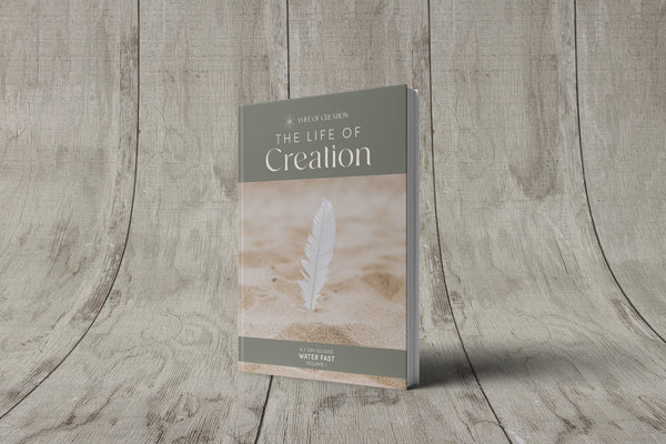 Life of Creation E - Book