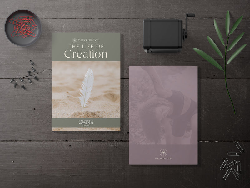 Life of Creation E - Book